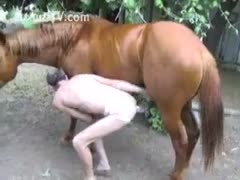A stallion who is zoophilic wants a sodomy.